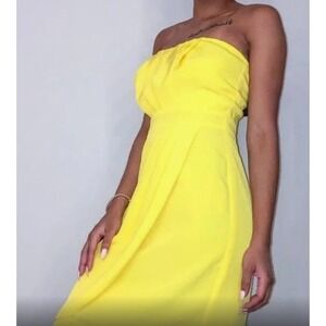 New! THE LIMITED Size 0 Strapless Pleated Empire Waist Exposed Zipper Mini Dress